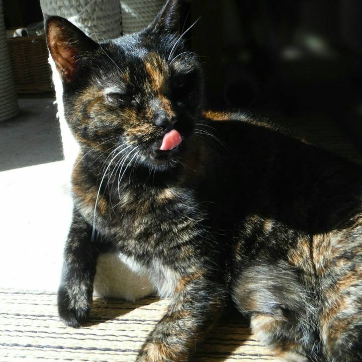 56c33fd4 d791 4f30 93a2 ea96b547b1d1 1511936959023