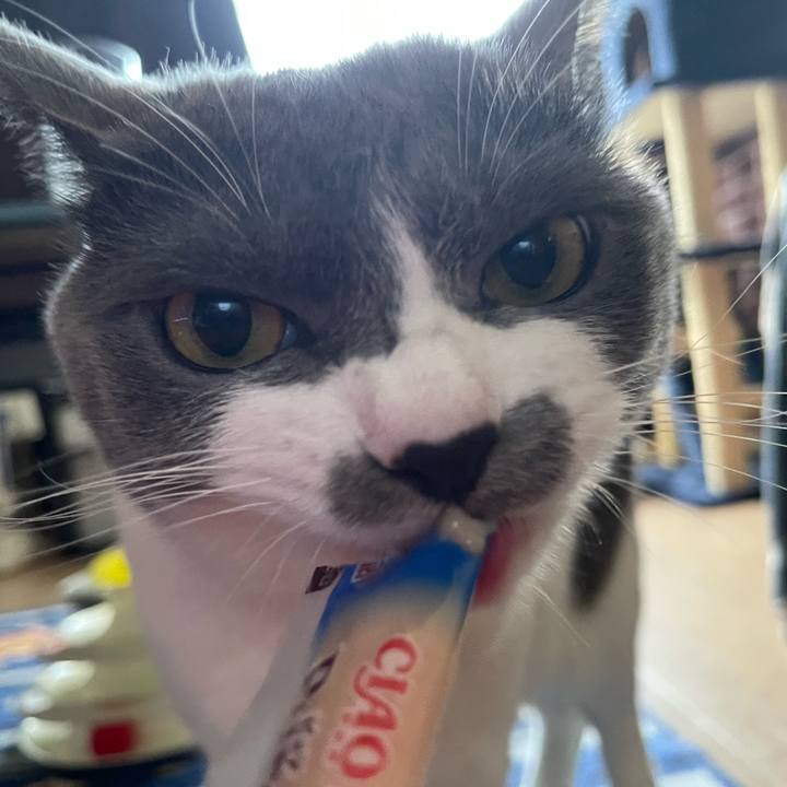 56c34621 7490 4bef b168 581357145b7c 1660805888174