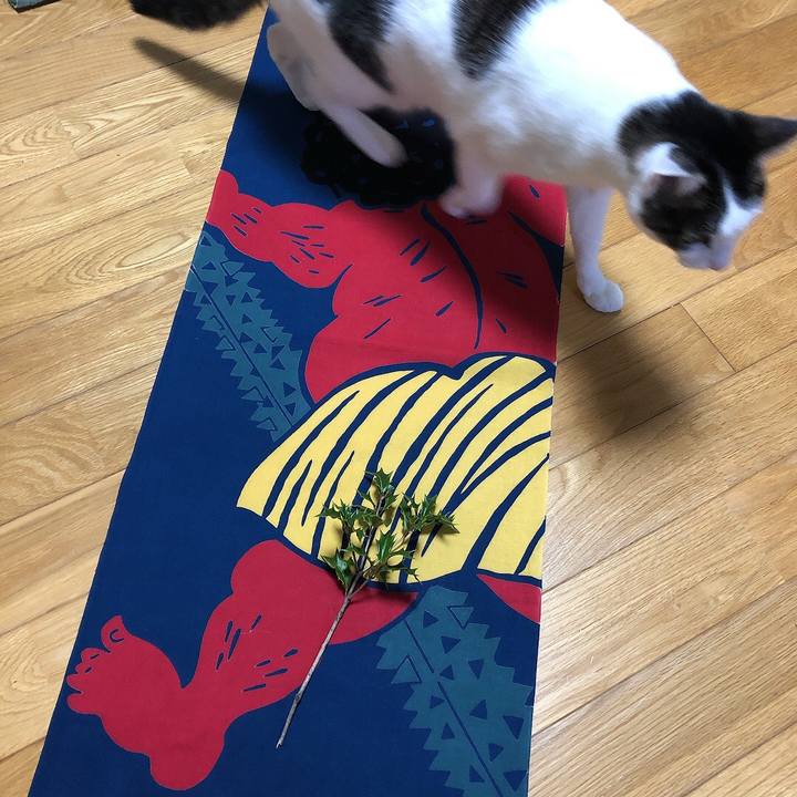 56c34bc8 1d0f 4505 ab6b 8e1e7d206599 1675423114932