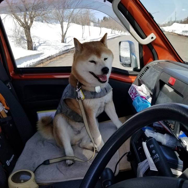 56c36ef1 5c5f 48c5 b9f1 9b5ecc1f366c 1648873510283