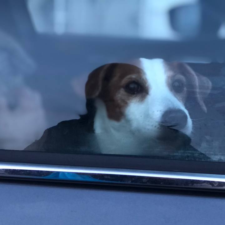 56c3b8d6 21f6 4fef 85e5 c96db3480015 1737864517472