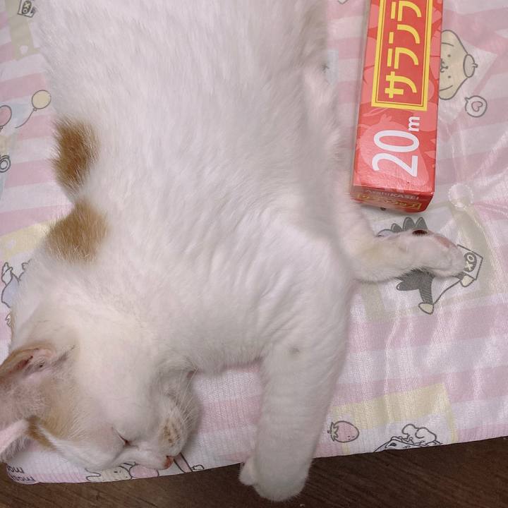 56c3fcd5 b765 4e60 bdb4 fc3b08d6711d 1656071366400