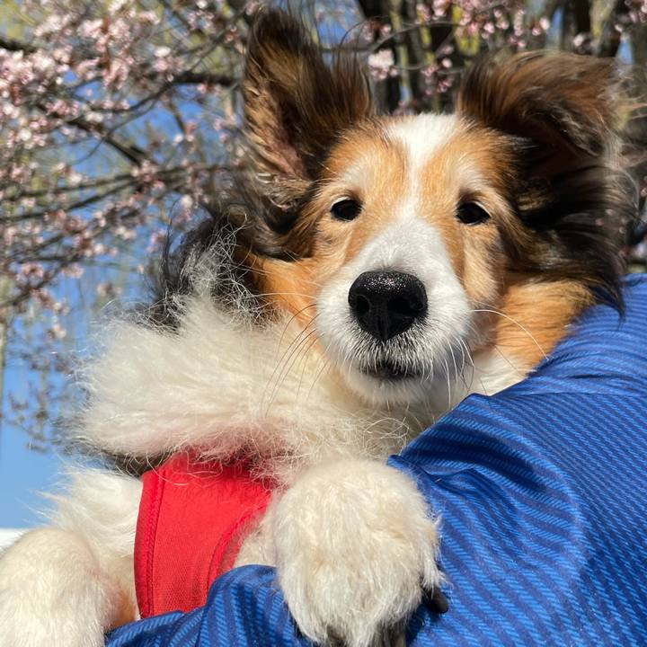 56c4447d 7e71 4509 bdf3 747dbdd42f90 1714190930786