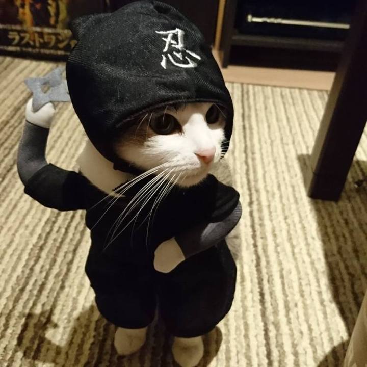 56c444db cbf7 4d5f 8f5d b169f4fd60ec 1698743951990