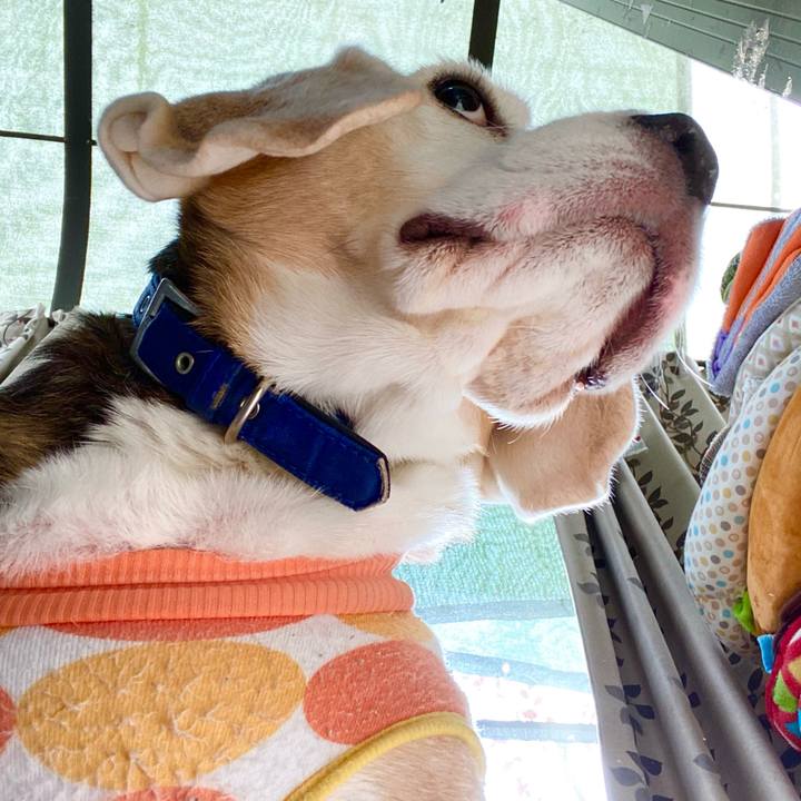 56c45b8a 35b7 4399 8bfd d8aaa8571021 1607747871064