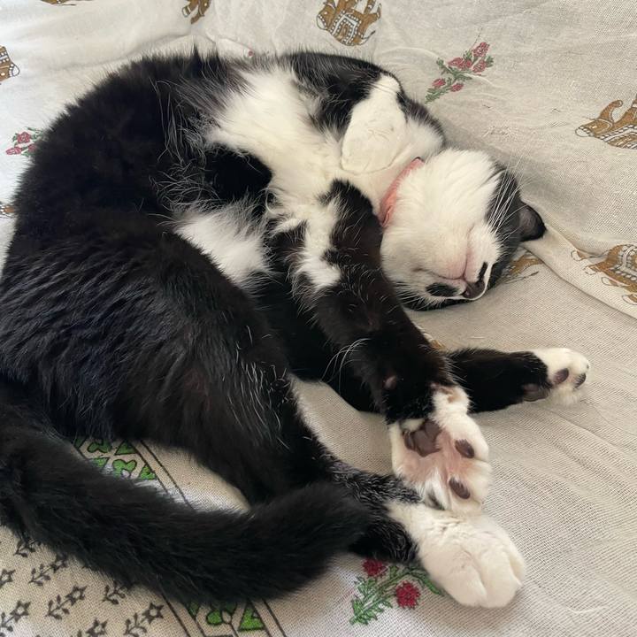 56c489d4 07ce 40d0 b705 e606d9373d0c 1751065189263