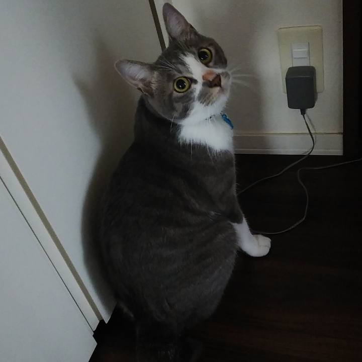 56c4ab6b 0204 4be2 bd76 48c848e099c0 1595716942659