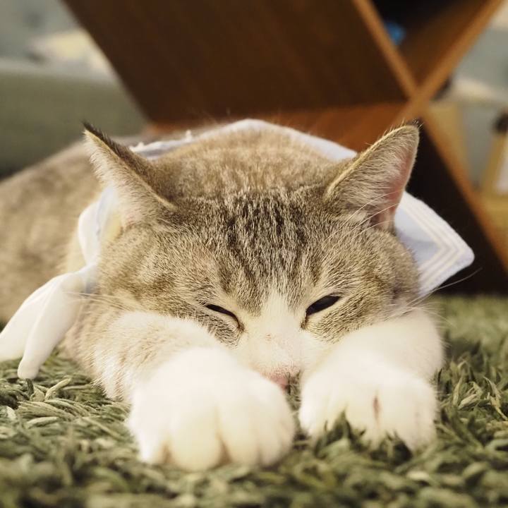 56c4d925 3b36 4f18 b58c 26bc96100f84 1658289180221