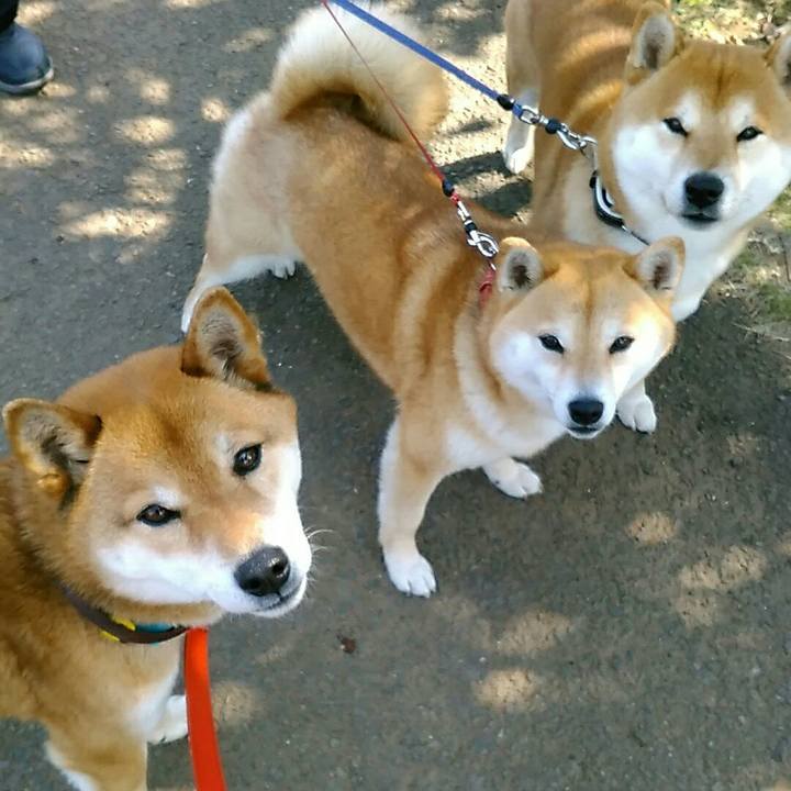 56c5058c 41c9 4640 829a 685a7049d98b 1553652008349