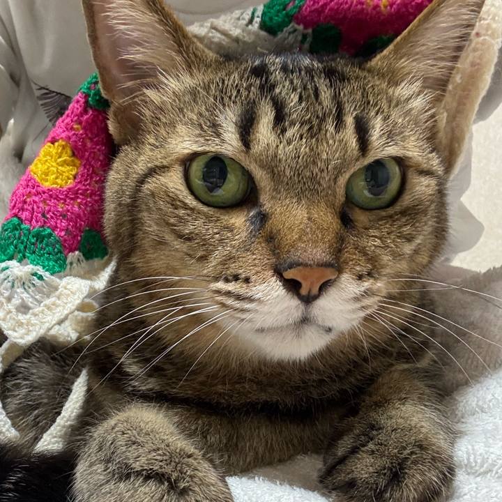 56c517d6 43bd 4f47 bb85 4c016b1cd1fa 1758857728528