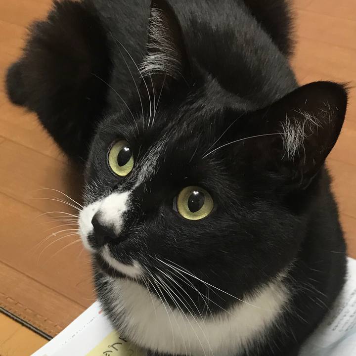 56c5340a 4ed4 4ce5 84bd b8fc374321e0 1622172455098