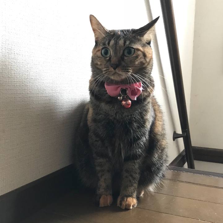 56c53a0b 598c 4723 97e4 5fb5dc8467bb 1509239544870