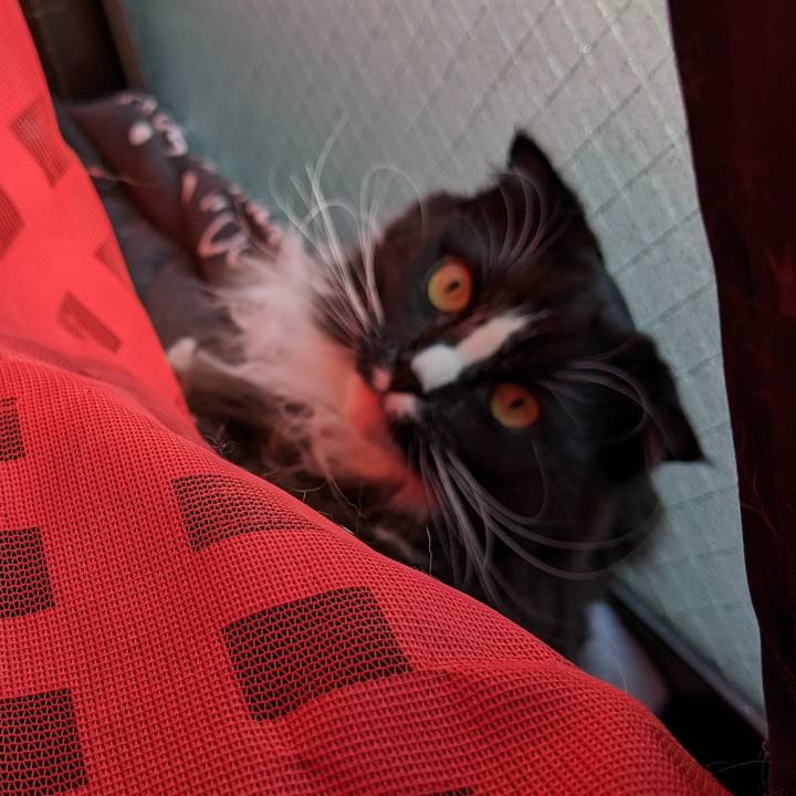 56c54642 9fe4 4048 9878 b73db0c66b50 1674541740568