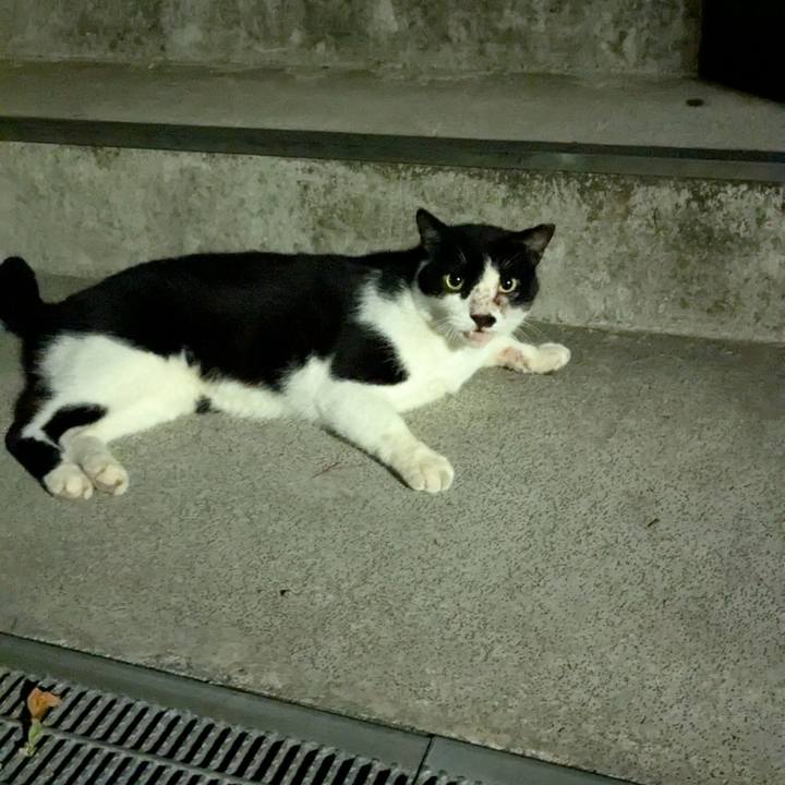 56c54f04 dc0b 4955 b522 f5a7d9434fc8 1756643146024