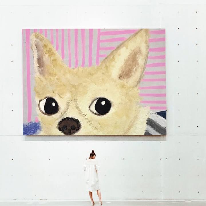 56c55383 7267 4234 90d5 c684dae853b3 1547388620468