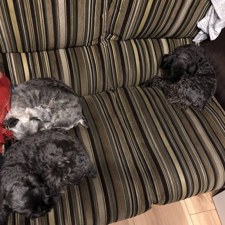 56c56142 5f50 4d97 9490 4d048bbe79b0 1586267628643