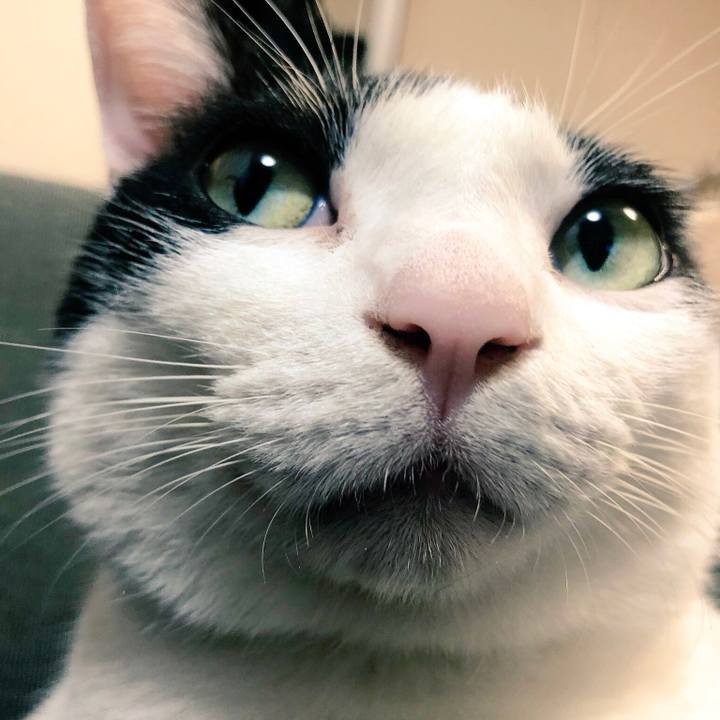 56c5b94d a0fb 458e bb0d 0139d962187b 1545137431746