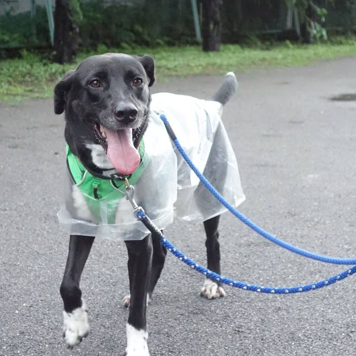 56c60eb4 2c3f 4050 84d8 a4b63c67066b 1595757766188