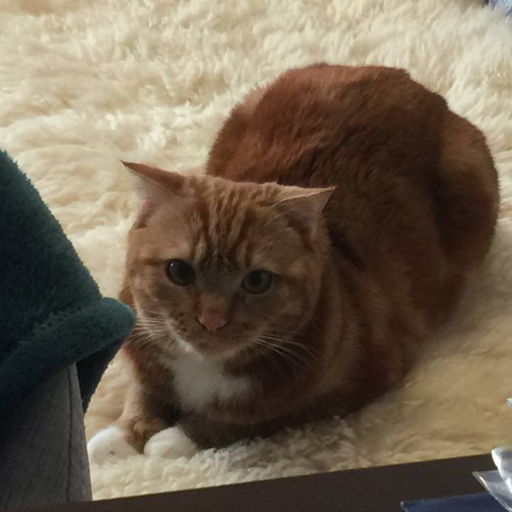 56c61530 7364 4fb3 a096 1bca7c5eb83e 1518303417552