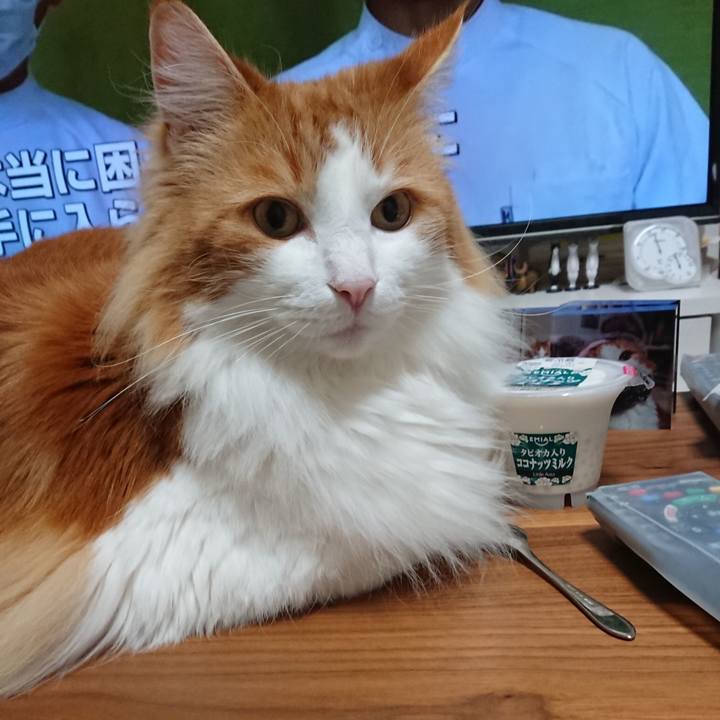 56c627a2 c050 4c6f 9d91 c46309fa4b0e 1589026267499