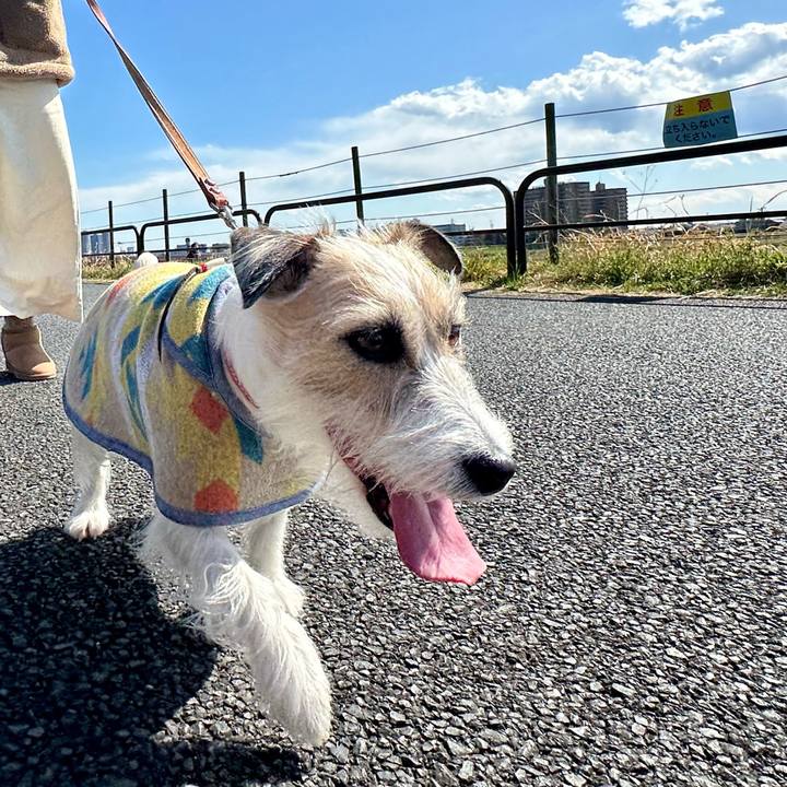 56c64dac 6a80 46ab aab1 6460119b209b 1710048886865