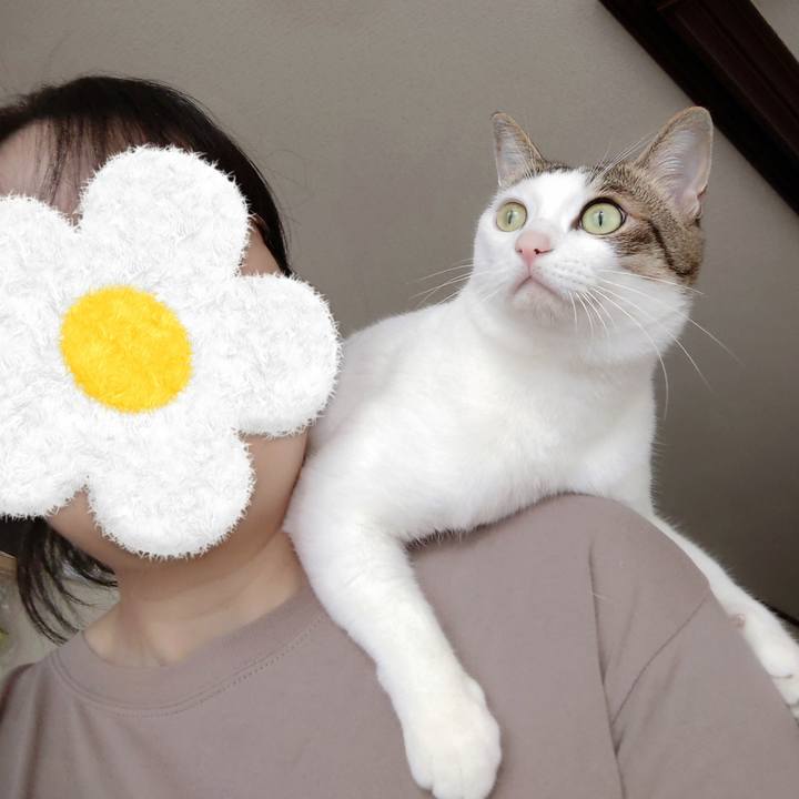 56c66498 aece 4c70 a8ca 809fb8bd863d 1726374216825