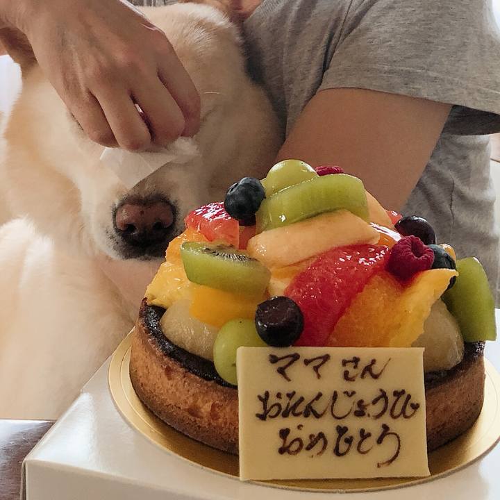 56c6f697 7054 4f03 aa7a db12aaef9706 1567135595588