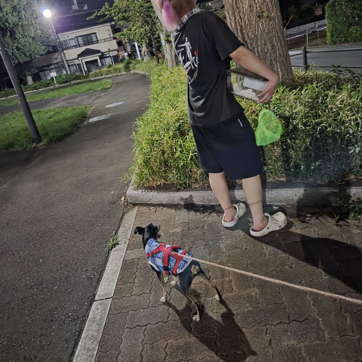 56c719a9 a78a 4487 9f00 edca84ecac42 1755299360545