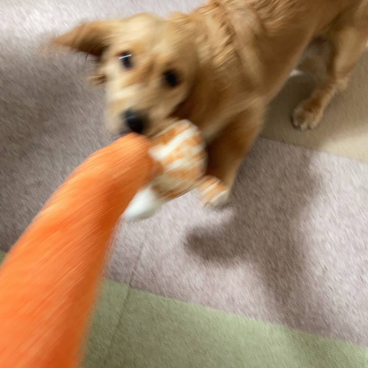 56c73e9c 5c9b 4508 86ce 9f3119262500 1683608752431