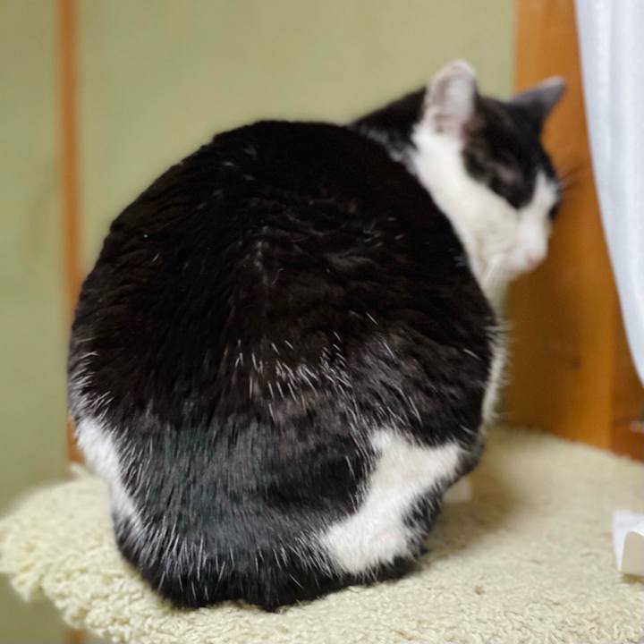 56c747be ec80 498e a73d 3f19653b7a2c 1621823022181