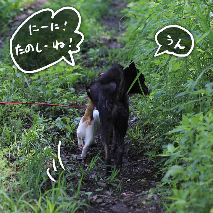 56c75f60 e59b 4b8c a22c f78cb9ae8b30 1593144336312