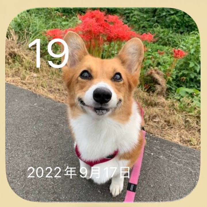 56c79e90 ba4a 494d b8b9 1964582455fd 1789820663079