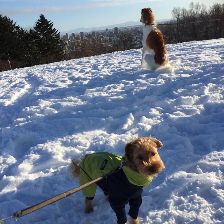 56c7aa26 7d63 4969 aeb6 26dfc59dd139 1515105784240