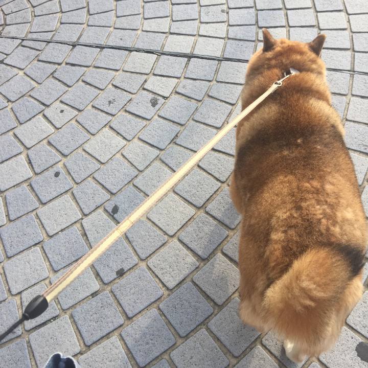 56c7b180 b738 47f4 976f ce72e69f00b9 1562107882837