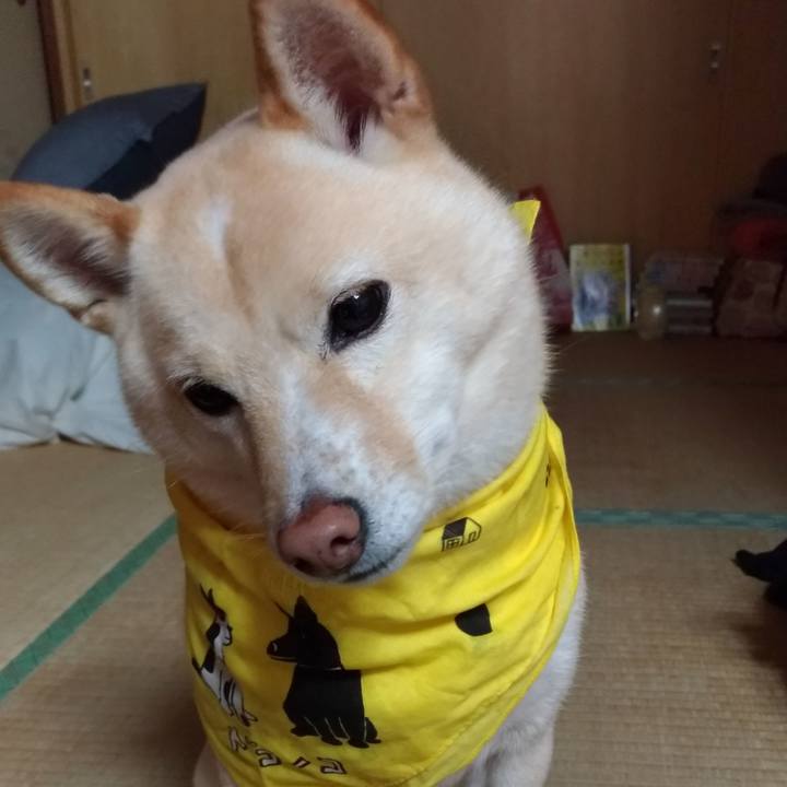 56c7b3a7 5916 44b5 90e8 6e8c1fc65713 1609414116250