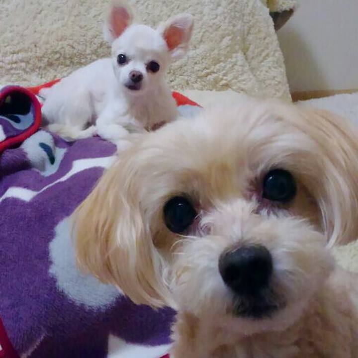 56c7c6dc a5a2 484b bddf b8d6b429cc2b 1560943010039