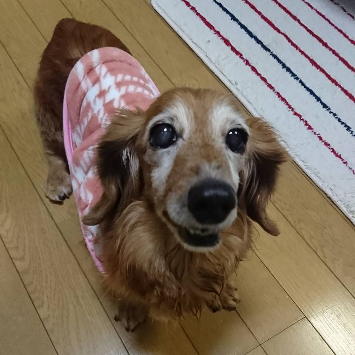 56c7cb74 74c8 465f 959f da6a96662458 1516526043426