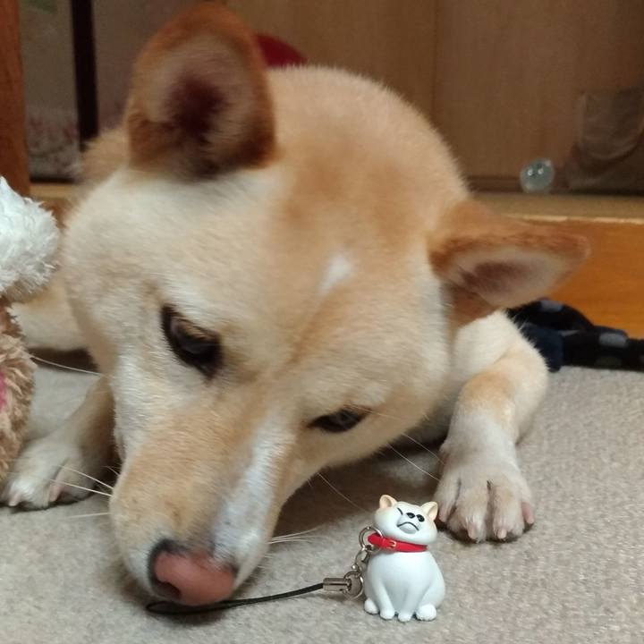 56c7d212 c269 40fa 8f79 26b9a9123932 1538652286484