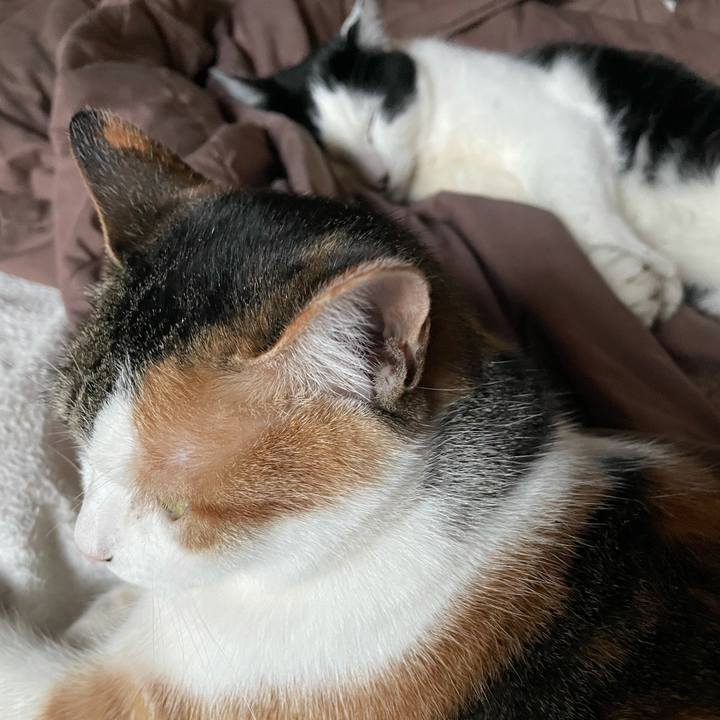 56c7ff60 ca5a 489b a250 6cdb5abb1a23 1645945252784