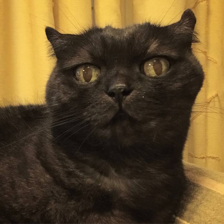 56c80575 ab0c 438b 8c0f 8a334d1b8197 1532768620999