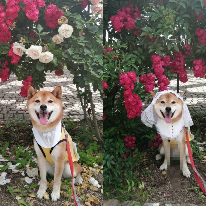 56c807cc 456a 4181 80f8 c3e026d441e3 1622697308074