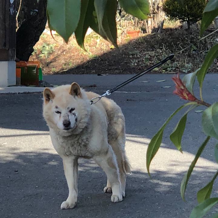 56c83265 24f5 4b3e 9215 48cdb75b572a 1584308346723