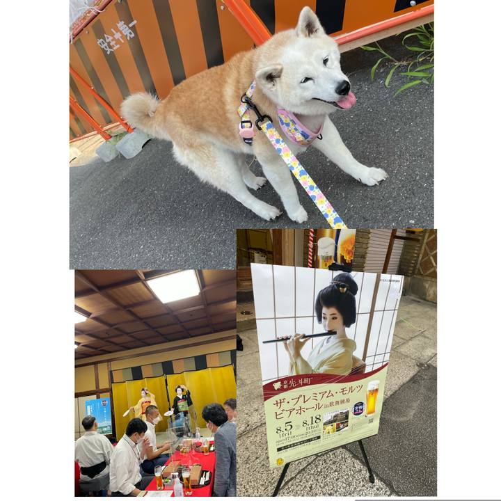 56c87507 f1aa 4e50 87f4 0718884110de 1660126839463