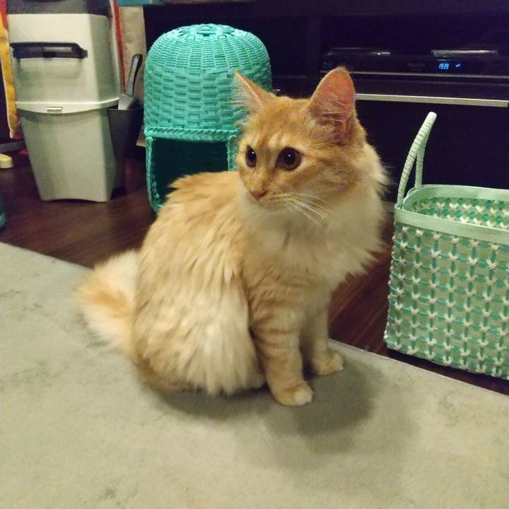 56c8e5d3 b76b 4eb4 8279 f47f62bab0d7 1624445295476