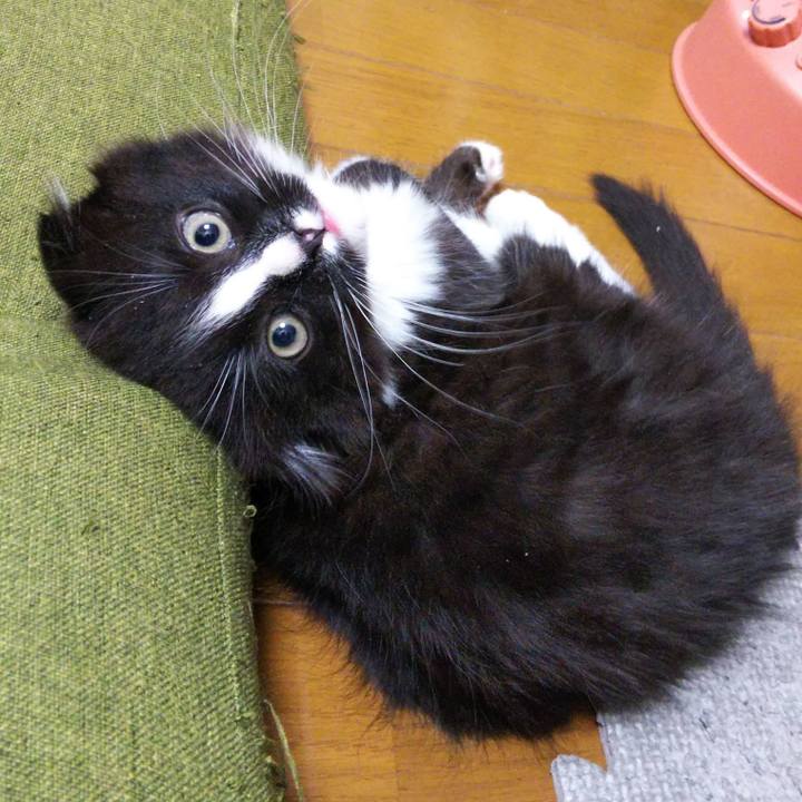 56c9098d e389 4a6e a9a2 44fbdfd1fed7 1639818074625