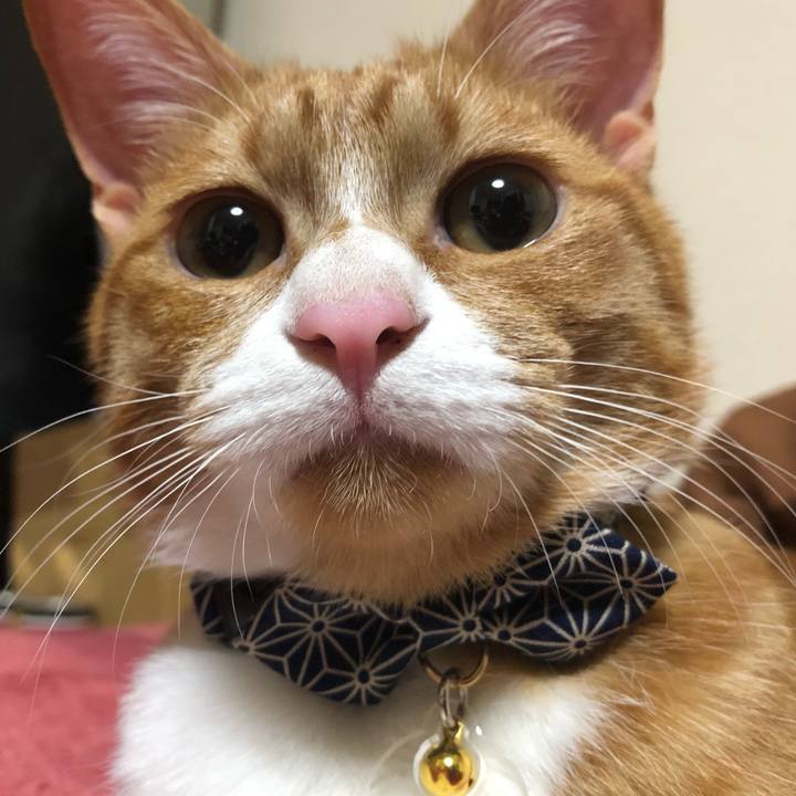 56c922fa 76b3 46bb 9381 95193c82061c 1553159276701