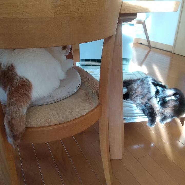 56c9474a 34aa 4c99 9efd 125d28ba0e04 1705274988789