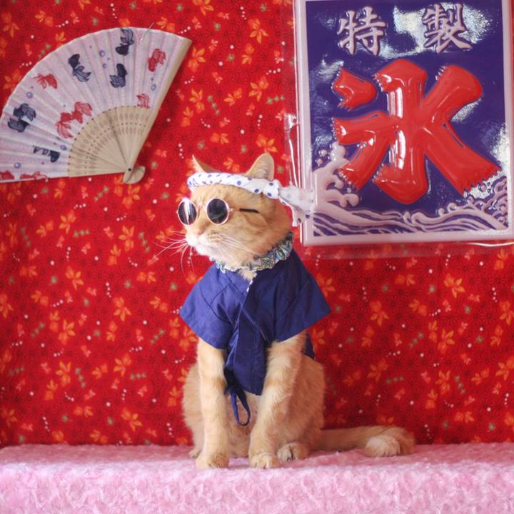 56c979e6 41d3 4e5e bc2a 259fda4a8b4a 1688290819831