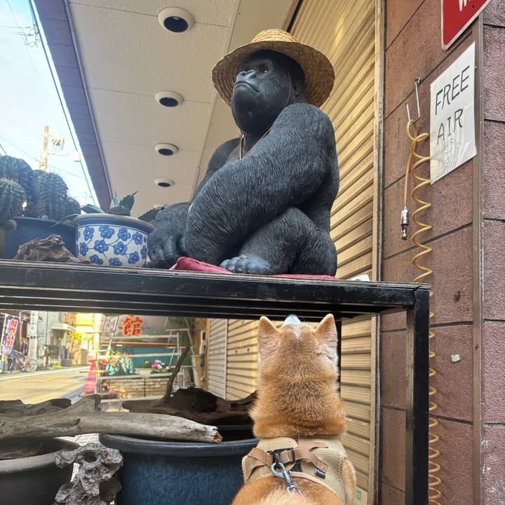 56c97f6a 7bb7 4f32 980b aa7e3f5ba2b3 1745007714083