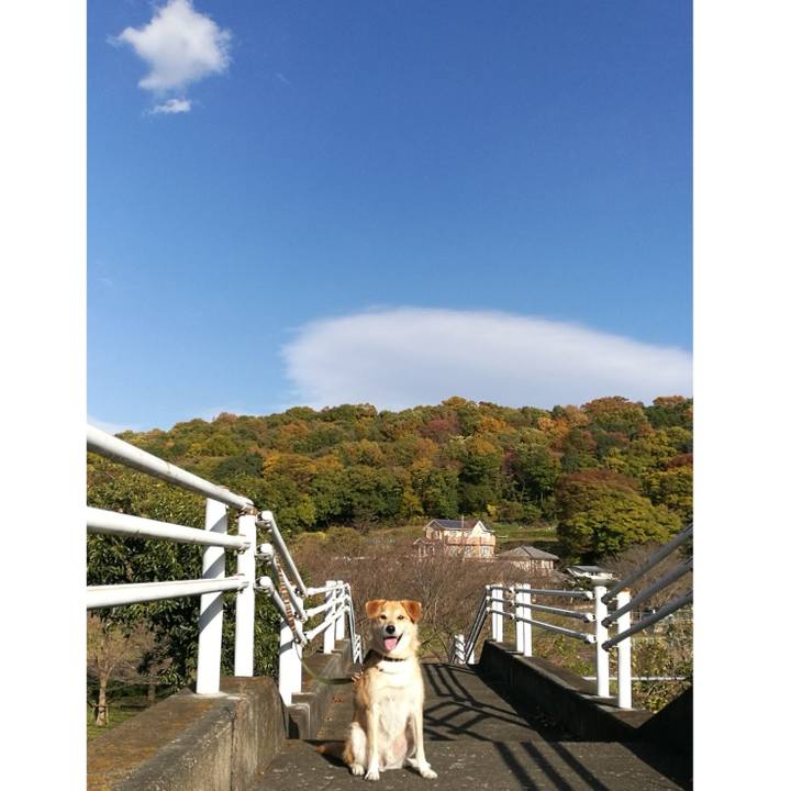 56c994df edb1 4661 abf8 7977ba8a4305 1511677206204